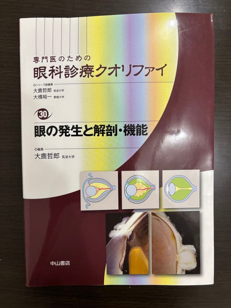 眼の発生と解剖・機能