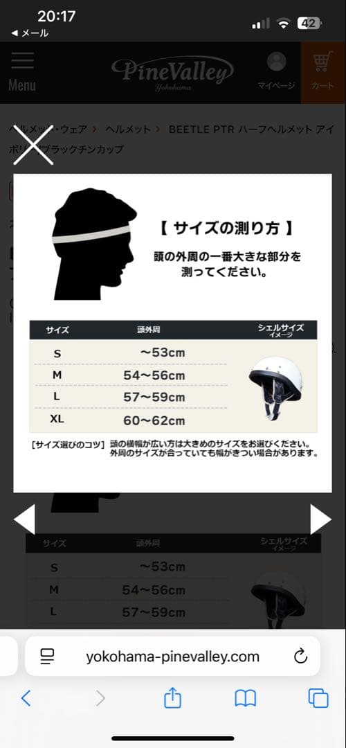 オーシャンビートル（OCEAN BEETLE）BEETLE PTR ヘルメット