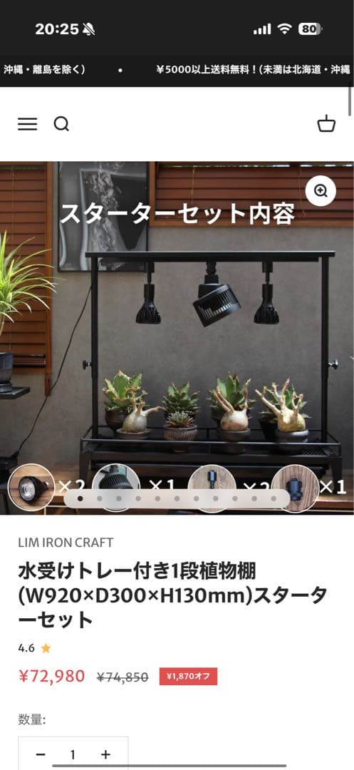 LIM IRON CRAFT 水受けトレー付き植物棚　スターターセット