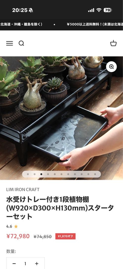 LIM IRON CRAFT 水受けトレー付き植物棚　スターターセット
