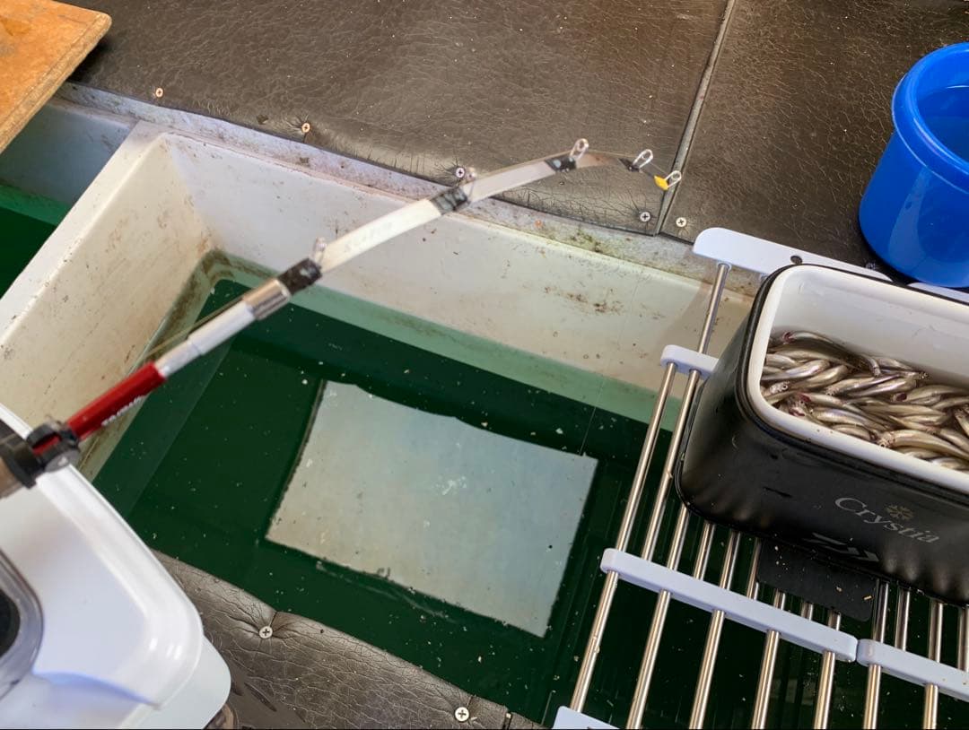 ワカサギステンレス穂先　 300ミリ　　２本