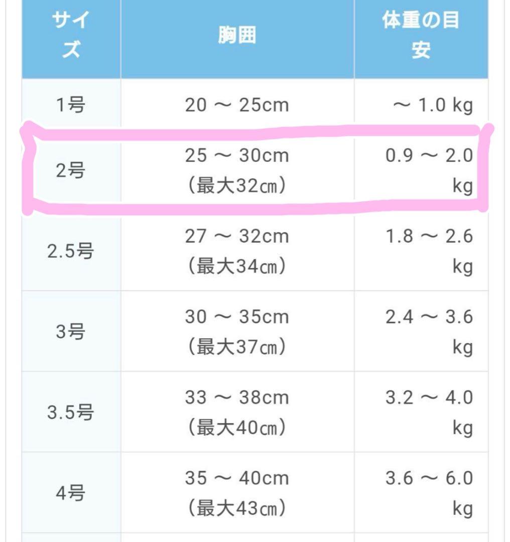 BUDDYBELTS (バディベルトBB) ハーネス2号　リードSサイズ　白