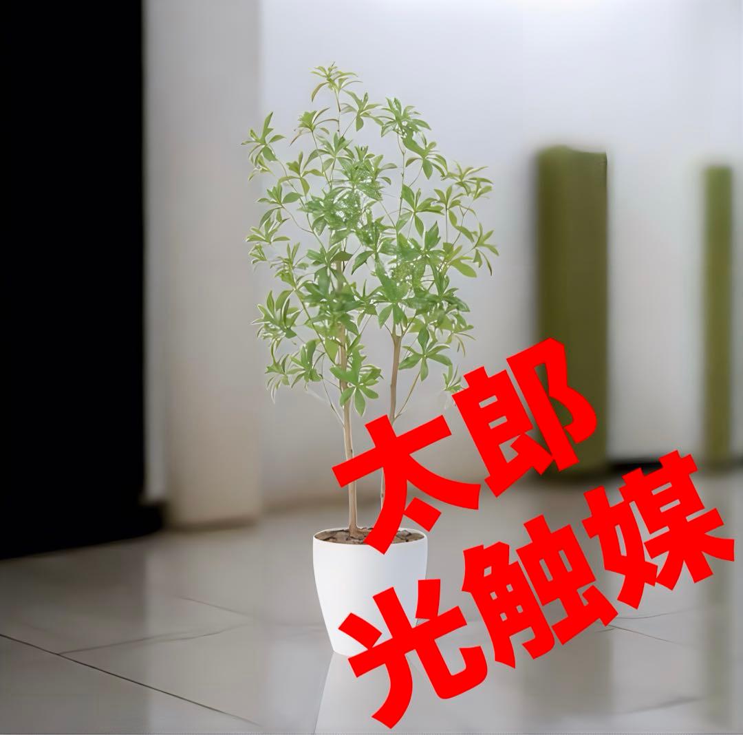 光触媒　人工観葉植物　ウォールグリーン　フェイクグリーン　フレッシュアセビ1.5