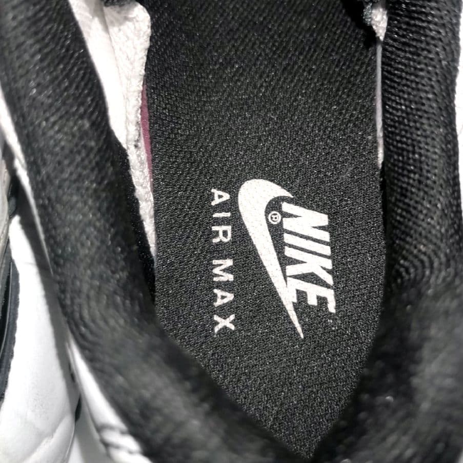 ✨未使用級✨Nike Air Max 95　ライトアイアンオール　24cm