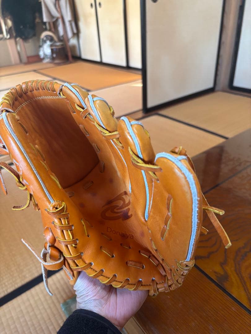 ドナイヤ　投手用グローブ