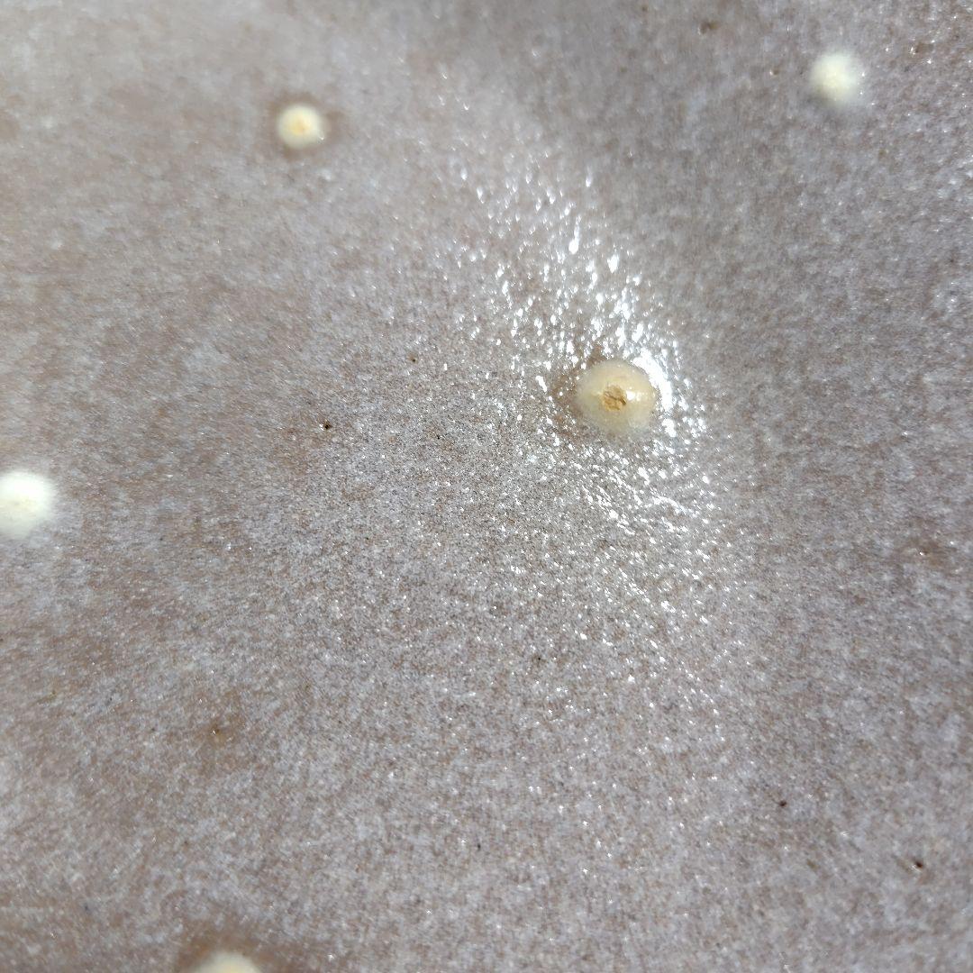 studiom sucre シュクルシリーズ プレート 6枚セット