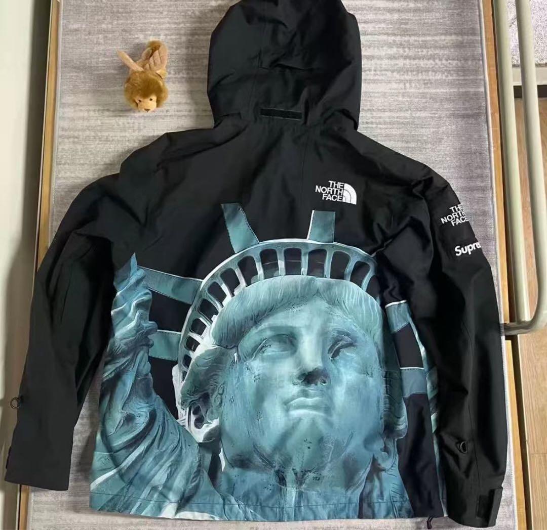【M】Supreme×The North Face自由の女神 マウンテンパーカー