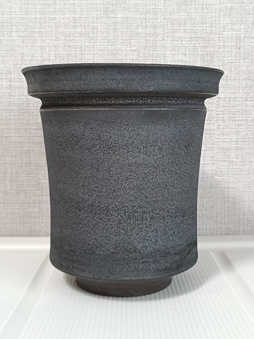 rawlifefactory 鉢　初期角鷹　botanize