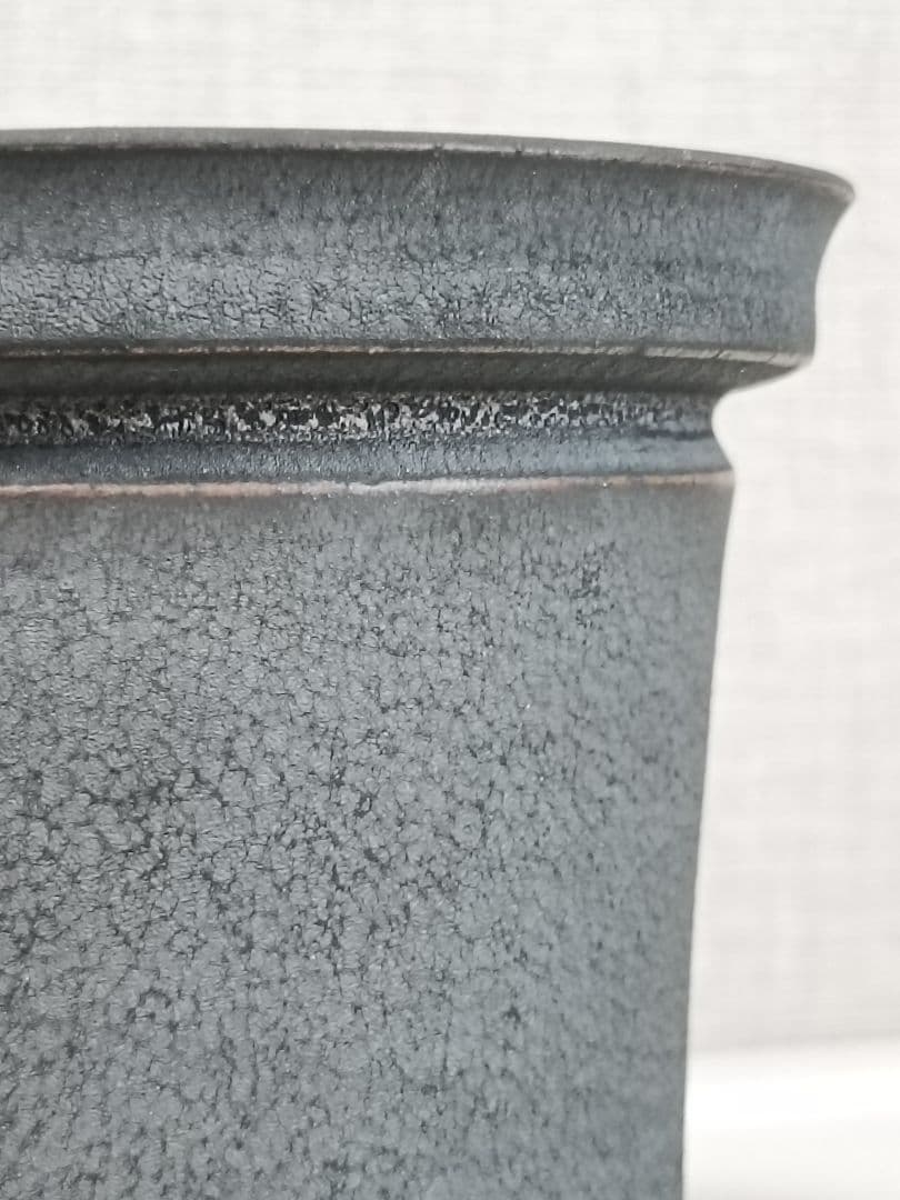 rawlifefactory 鉢　初期角鷹　botanize