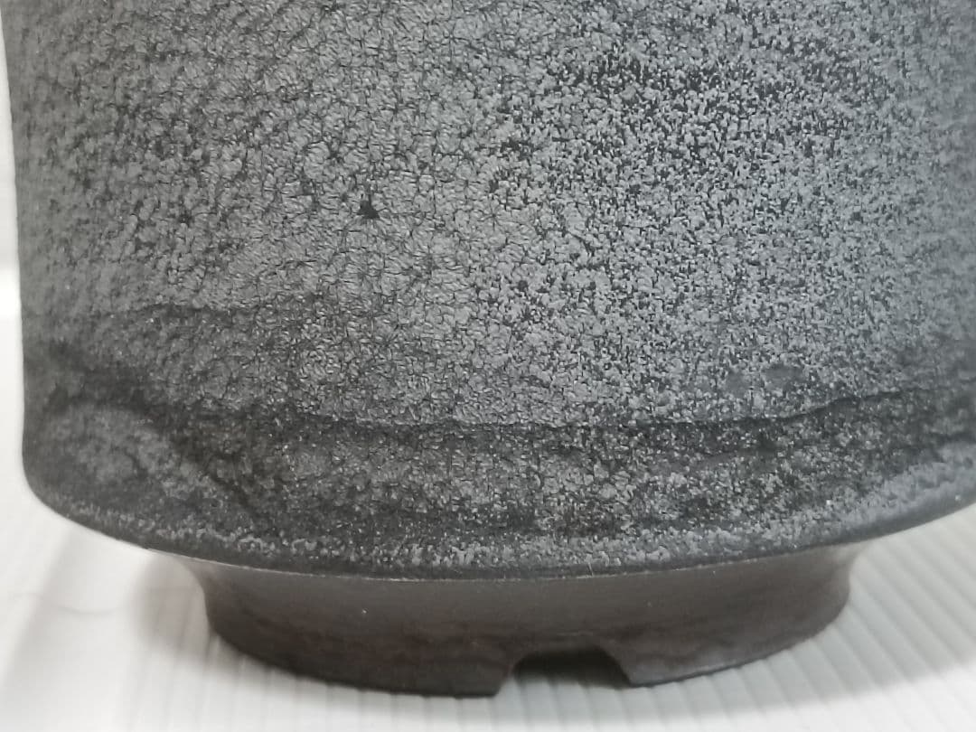 rawlifefactory 鉢　初期角鷹　botanize