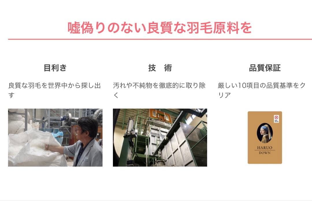 【東洋羽毛】羽毛肌掛けふとん D ルモーネ(ゴア羽毛肌掛けふとん)【カバー付】