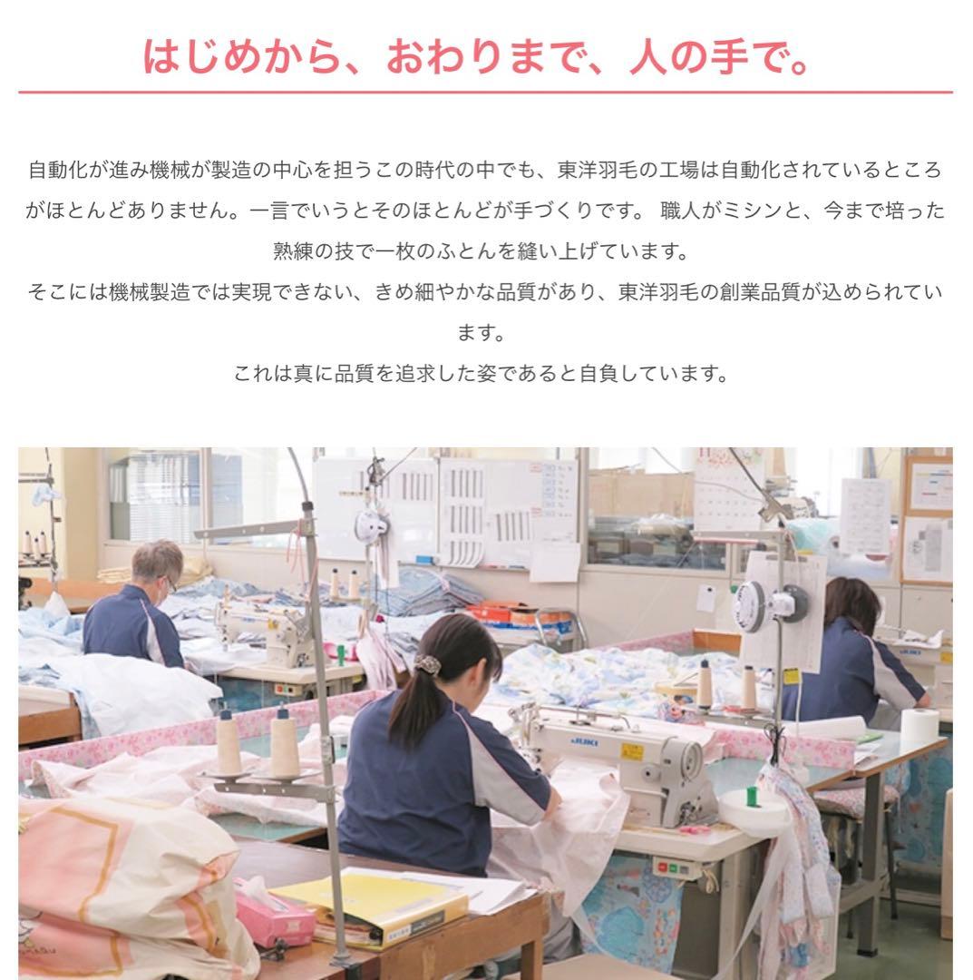 【東洋羽毛】羽毛肌掛けふとん D ルモーネ(ゴア羽毛肌掛けふとん)【カバー付】