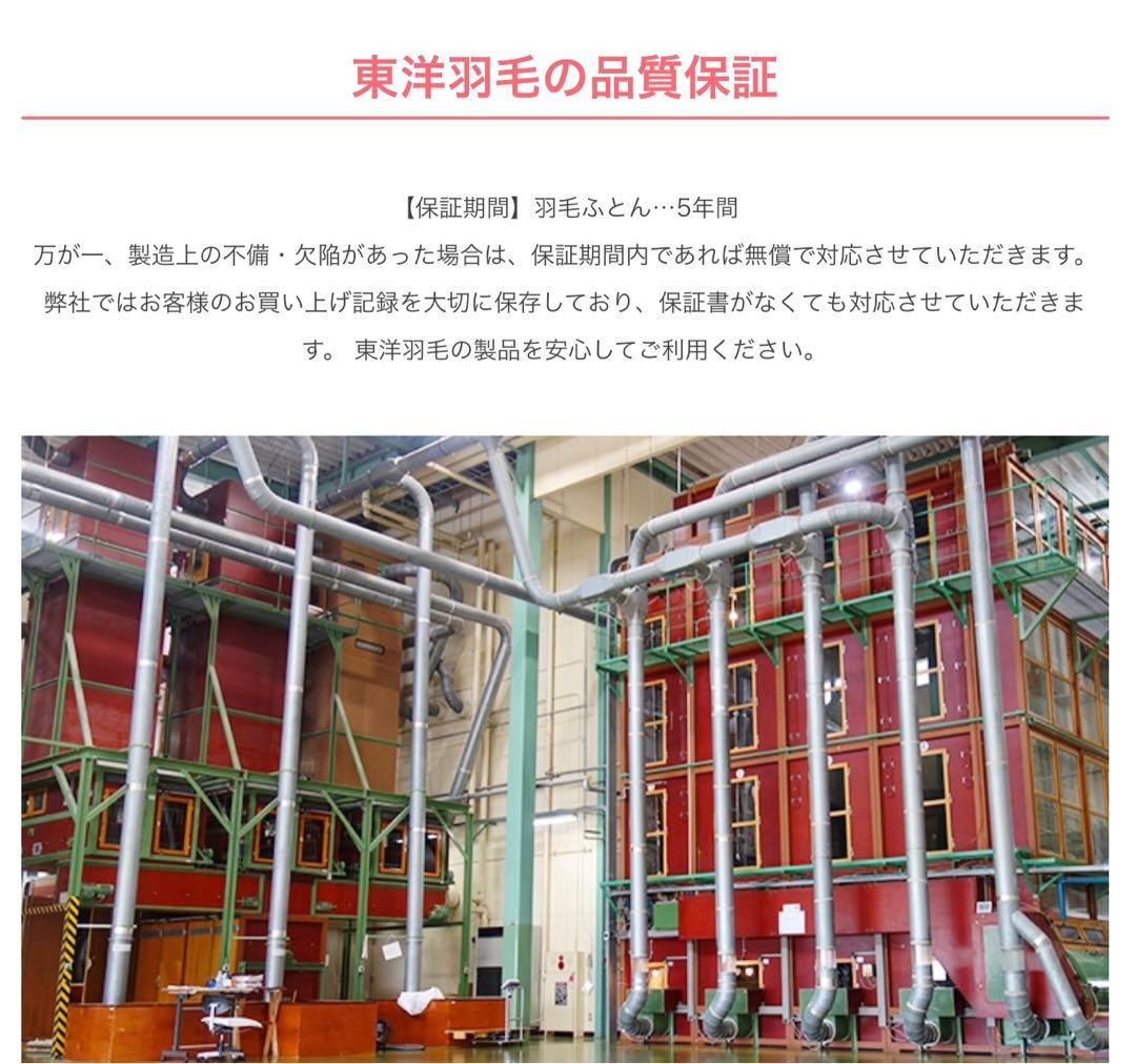 【東洋羽毛】羽毛肌掛けふとん D ルモーネ(ゴア羽毛肌掛けふとん)【カバー付】