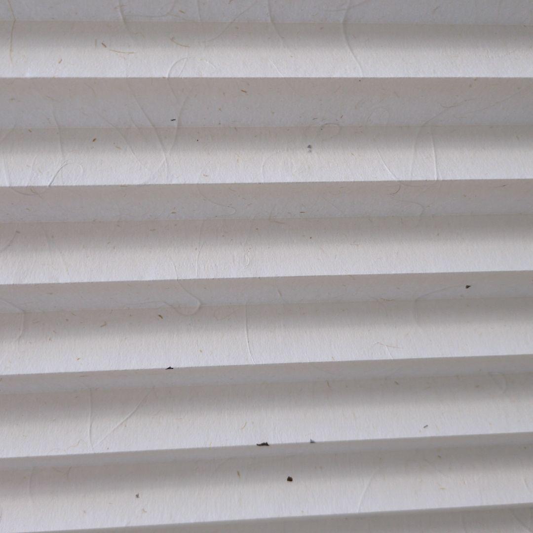 TOSO ホワイト　和紙　プリーツスクリーン2つセット！！