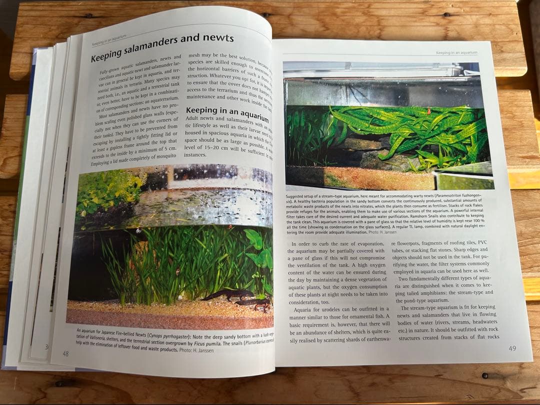 【送料無料】有尾類 イモリ サンショウウオ 爬虫類 両生類 洋書 図鑑 専門書