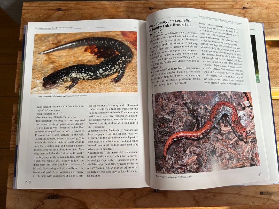 【送料無料】有尾類 イモリ サンショウウオ 爬虫類 両生類 洋書 図鑑 専門書