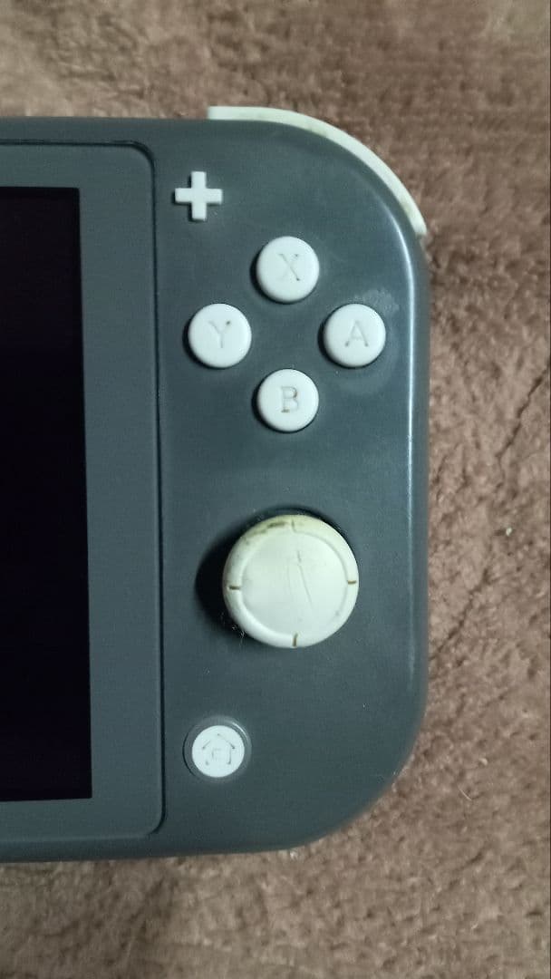 Nintendo Switch Lite グレー 本体 充電器付き