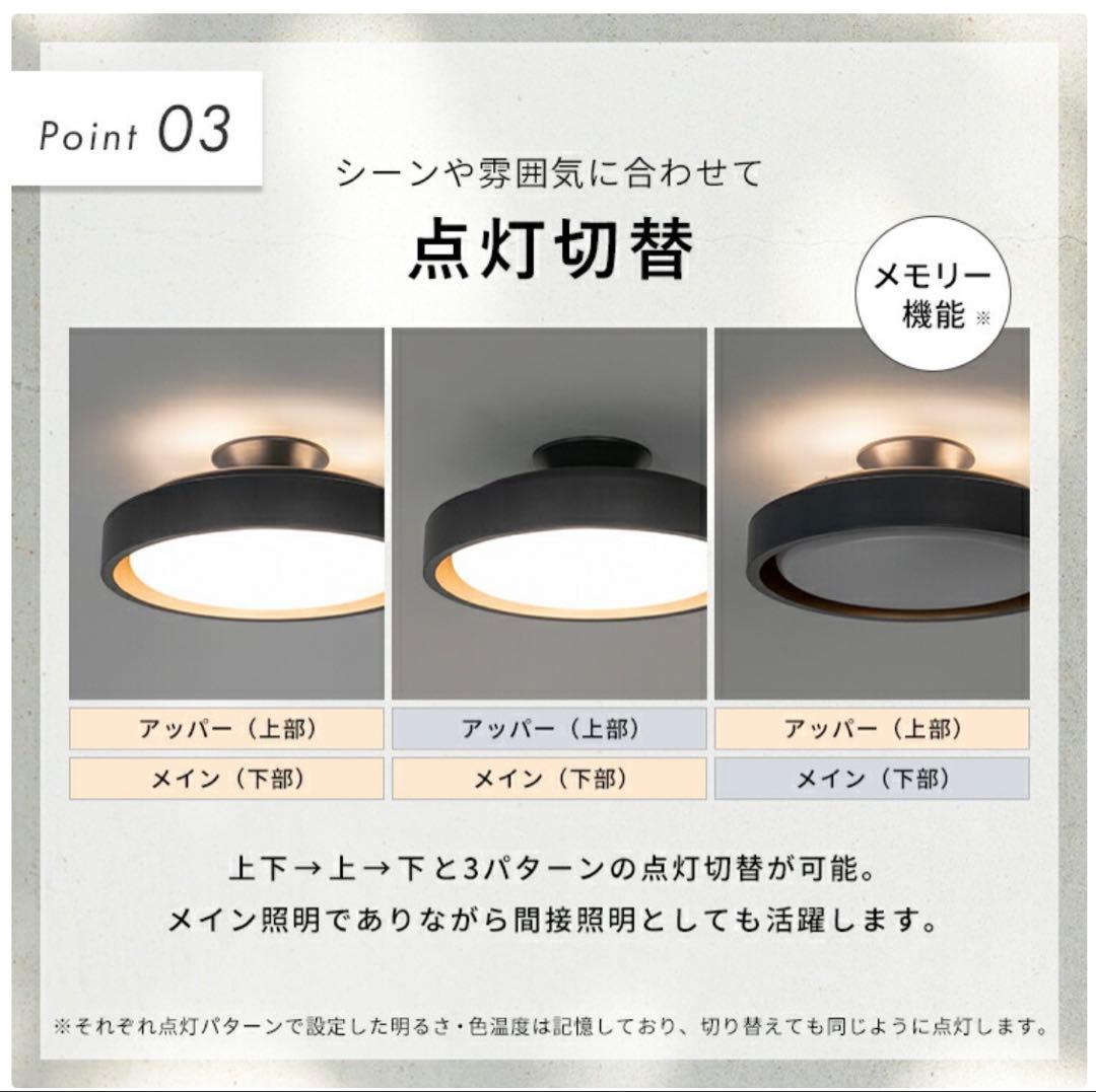 BeauBelle LAMELO ブラック シーリングライト