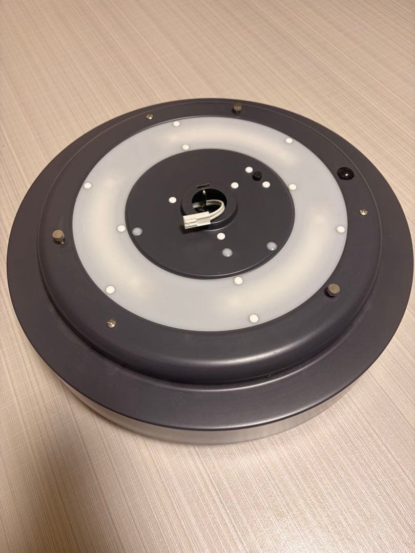 BeauBelle LAMELO ブラック シーリングライト