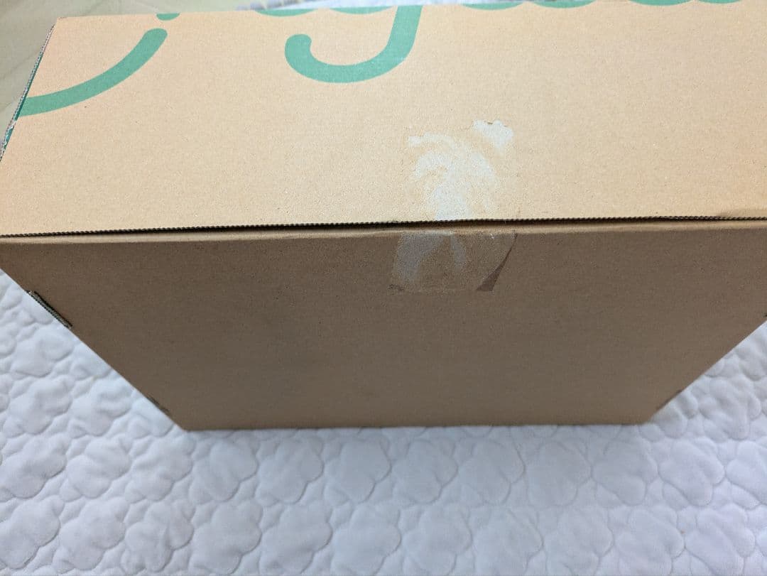 my first english ベネッセ こどもちゃれんじ　しまじろう