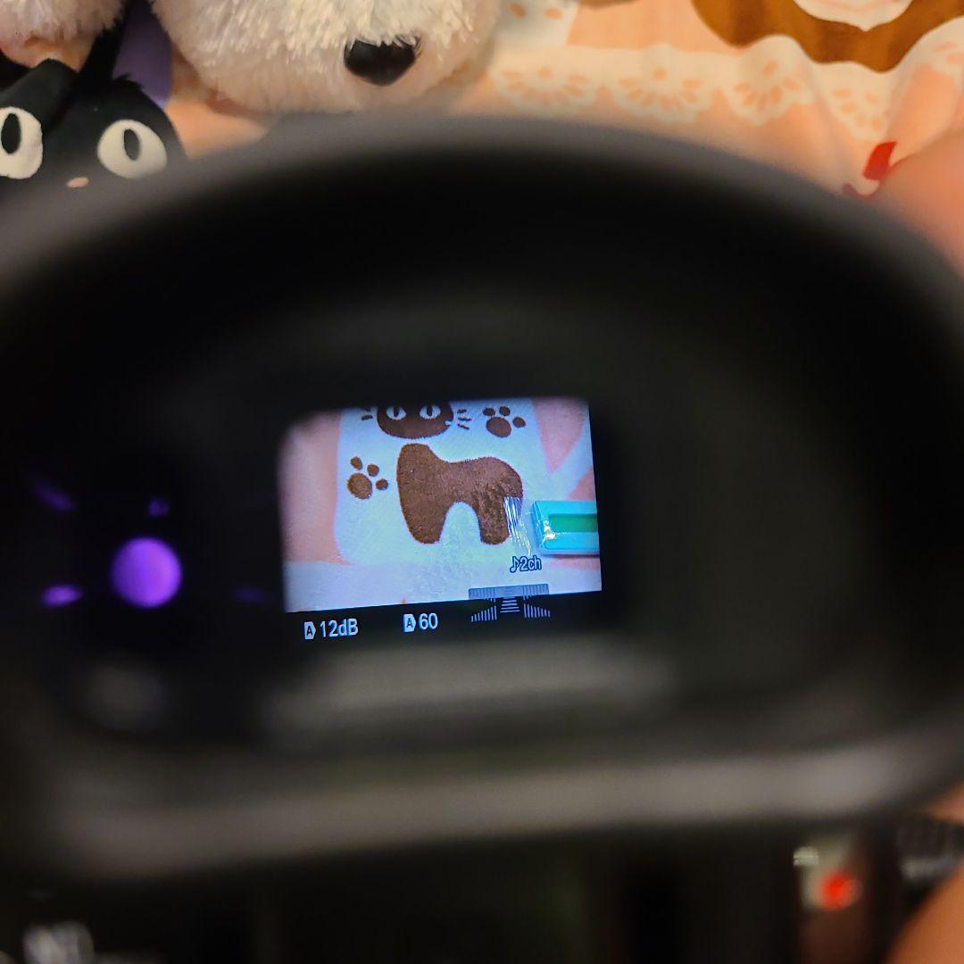 SONY FDR-AX100 4K ソニー ビデオカメラ