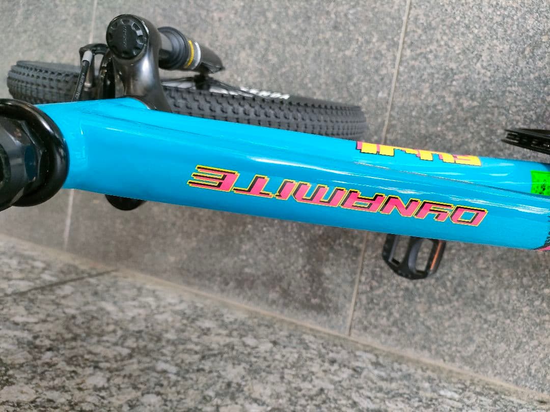 【直接引渡限定】FUJI Dynamite20 キッズ用マウンテンバイク