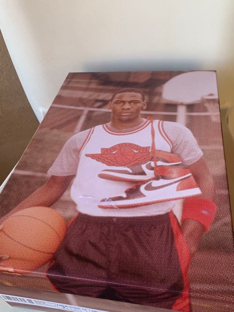 新品　Air Jordan 1 Retro High OG FD1437-106