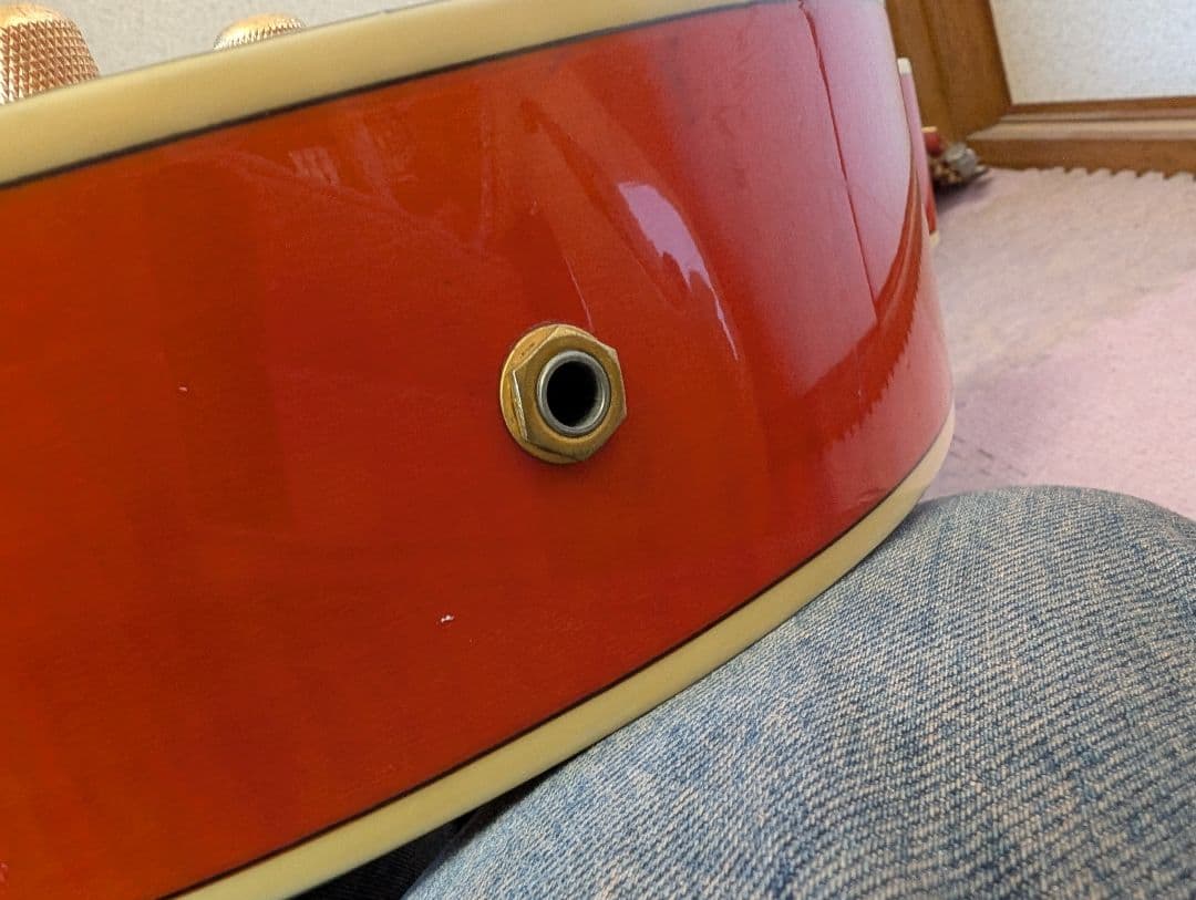 Historyフルアコエレキギター