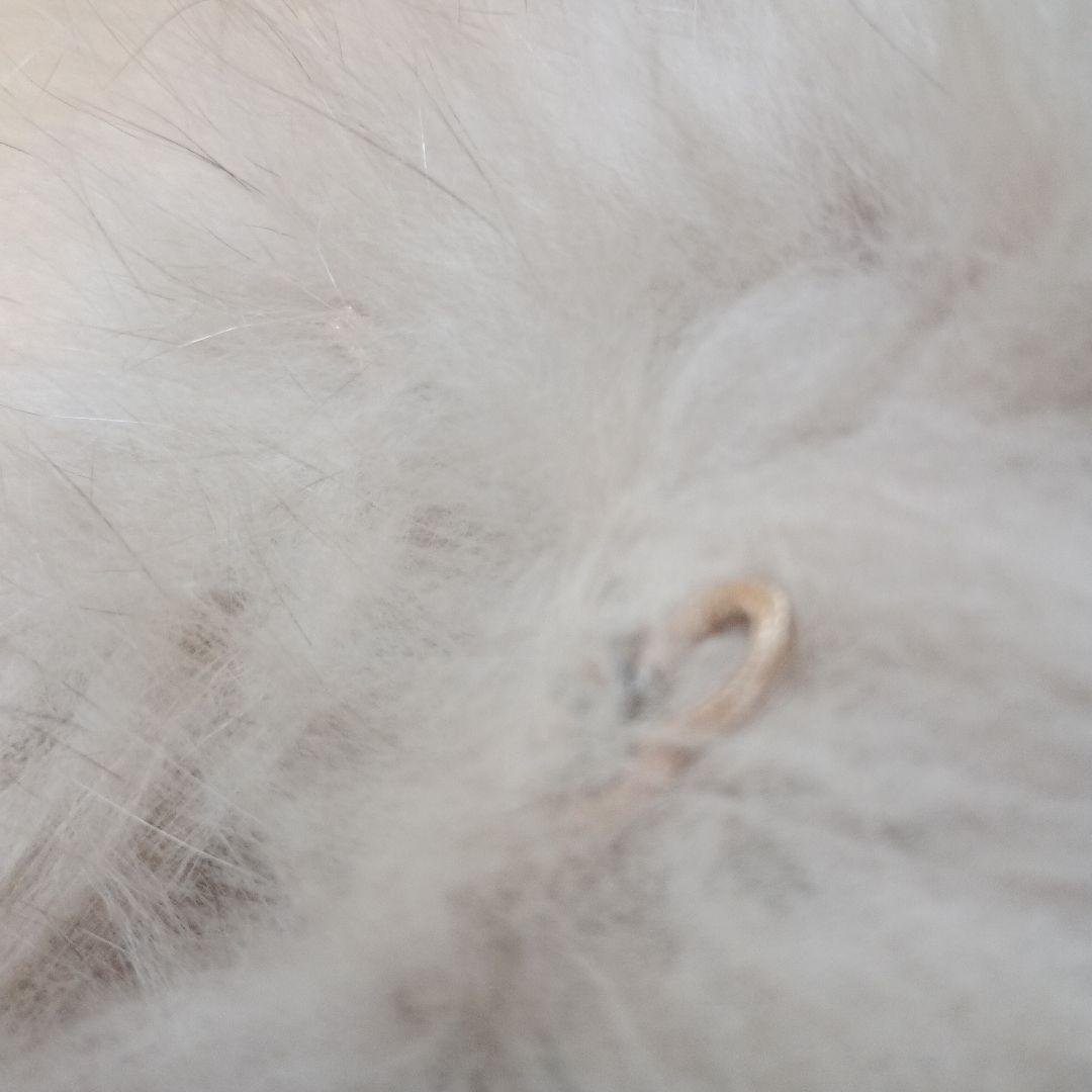 新品未使用LE CIEL BLEUフランス製フォックスファーストール