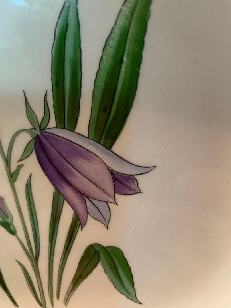 ロールストランド　レアなビンテージの可愛手書きフローラシリーズのお皿2枚セット！