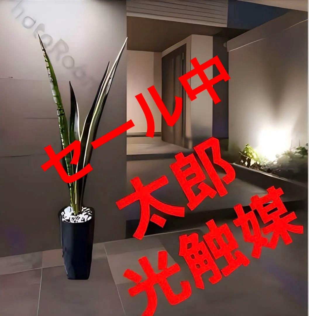 光触媒　人工観葉植物　ウォールグリーン　フェイクグリーン　サンスベリア1000