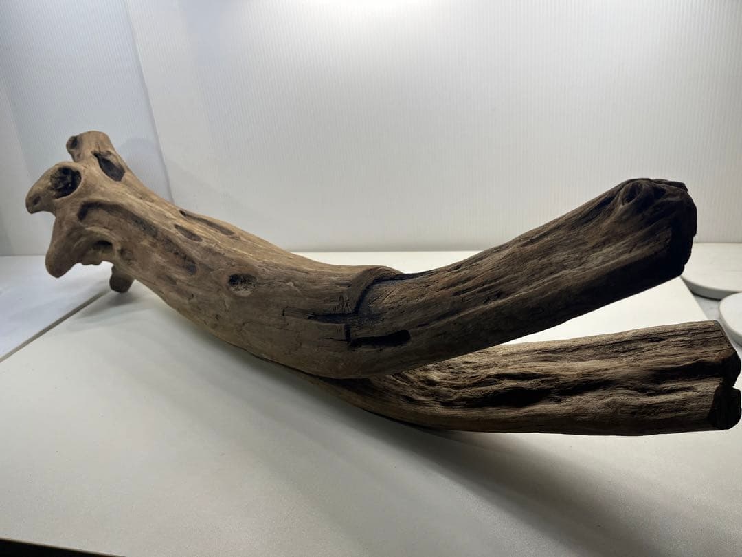 W27特大流木 アク抜き済み流木 爬虫類シェルター 登り木 インテリア 生け花