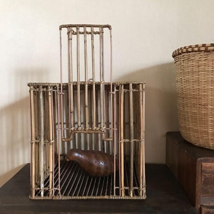 アルログラタンとワイヤーの鳥籠