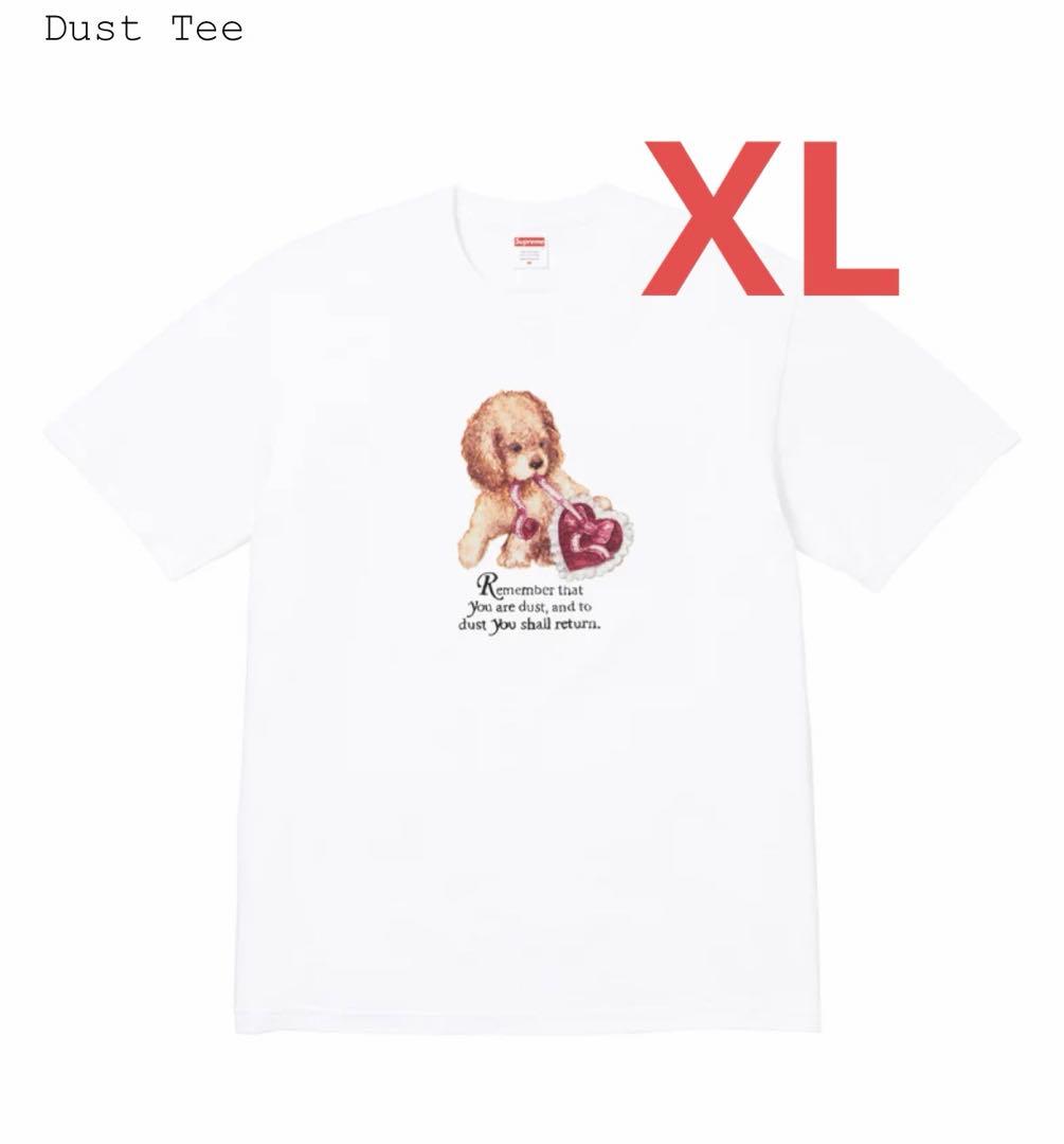 【長谷川】 supreme Dust Tee Tシャツ XL