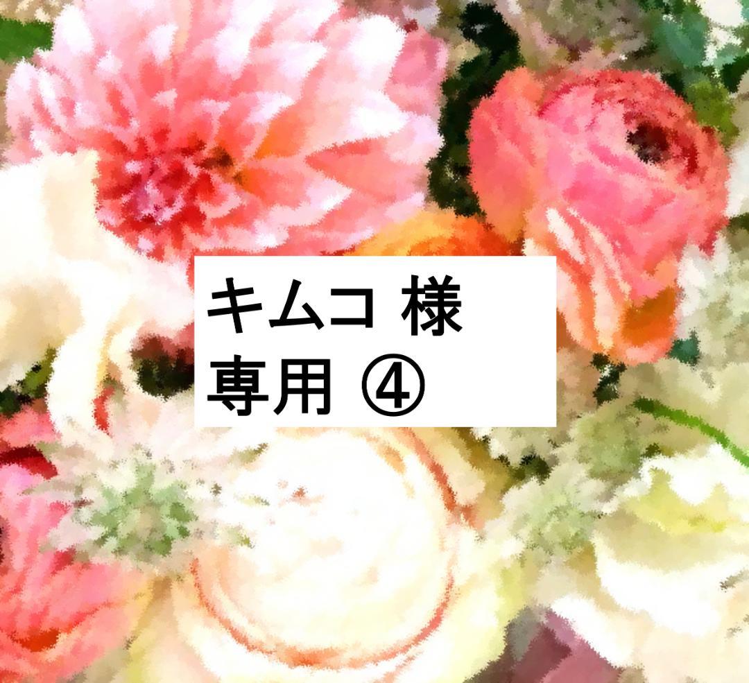 キムコ ④ 5％オフ 2023年1月 お手頃 フルセット　DWE 最新版