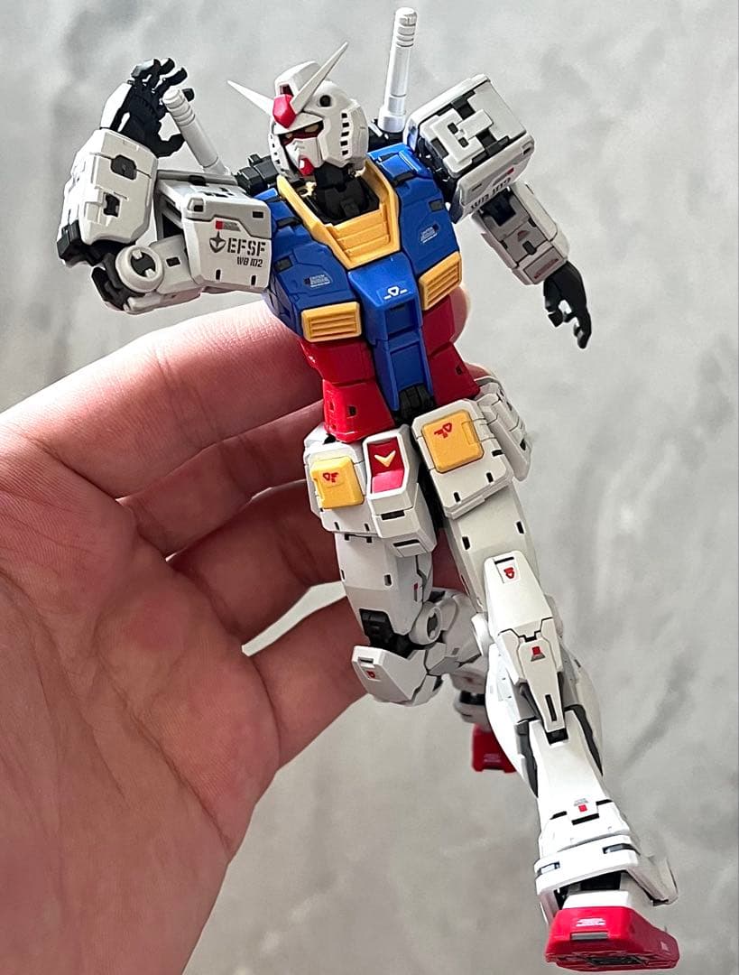 塗装済み 完成品 RG ガンプラ　2体セット