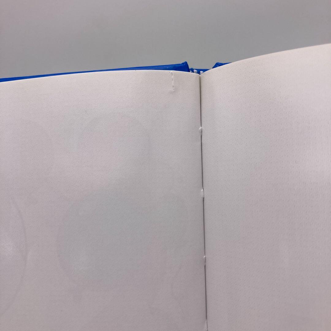 メインプログラムとミッキーメイト　ディズニー英語システム　DWE　900281