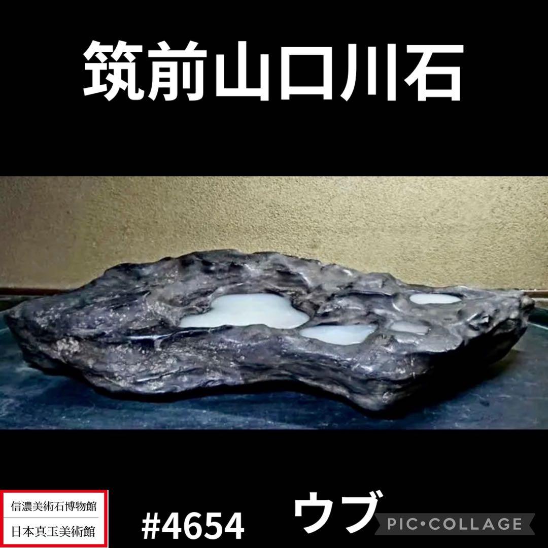 筑前山口川石の溜まり石 重量:9.48kg