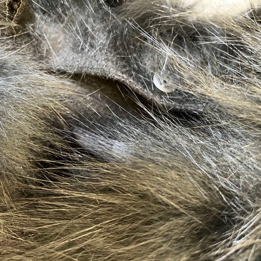 【希少✨カシミヤ混】バーバリーロンドン ファー付きウールトレンチコート