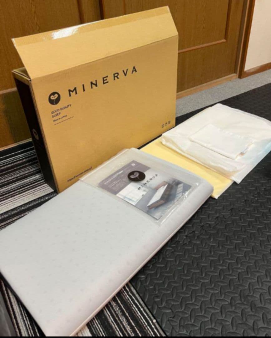 早い者勝ち！ミネルヴァピローYouTuberヒカル