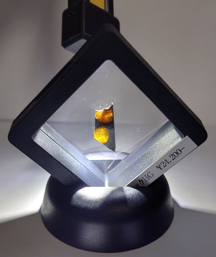 ねこし　イミラック隕石　パラサイト 標本ケース土台付き