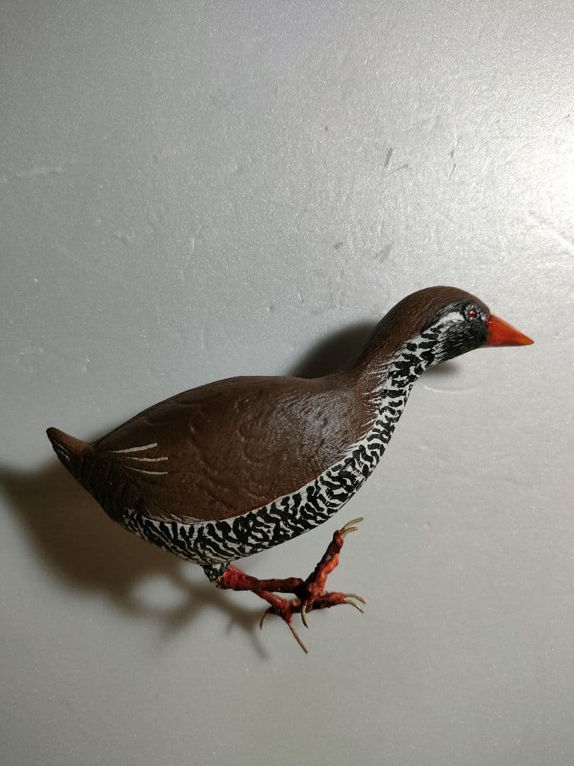 ヤンバルクイナ　バードカービング