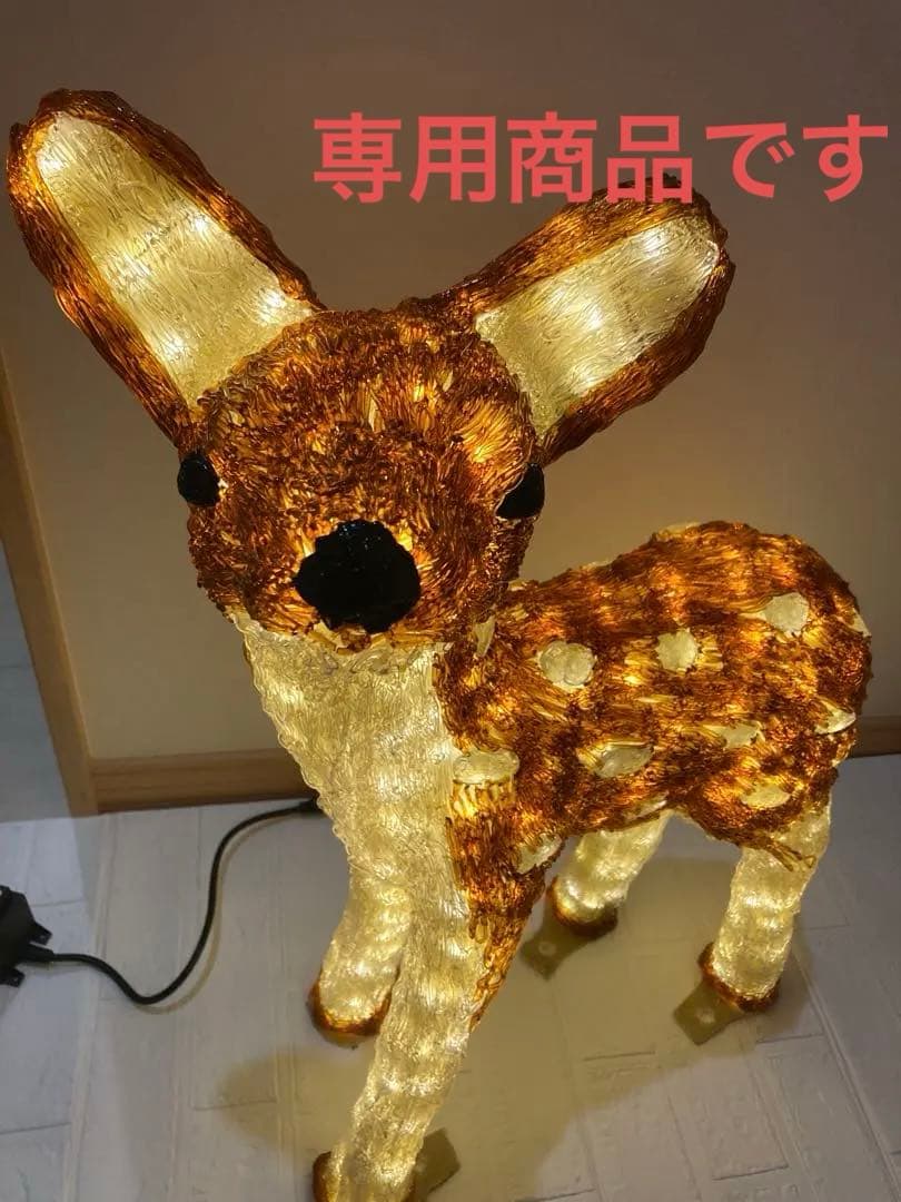 TAKさま専用　イルミネーション　しか