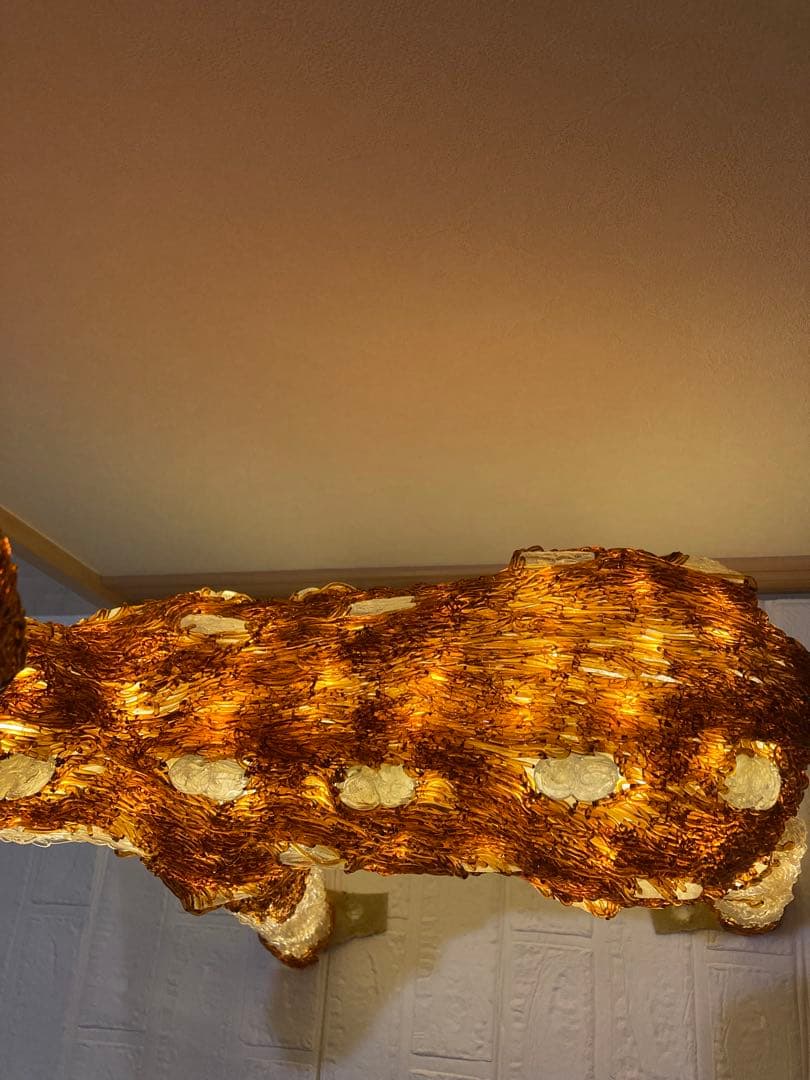 TAKさま専用　イルミネーション　しか