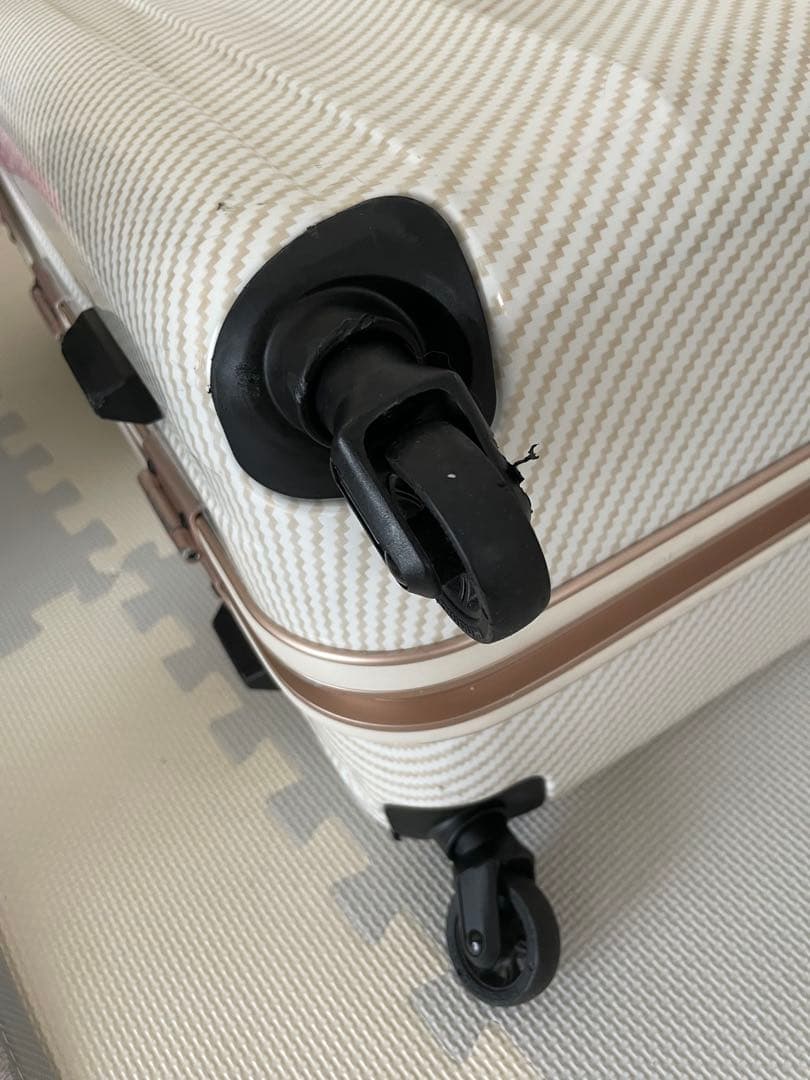 レジェンドウォーカー　ラフカーボンホワイトゴールド キャリーケース90ℓ