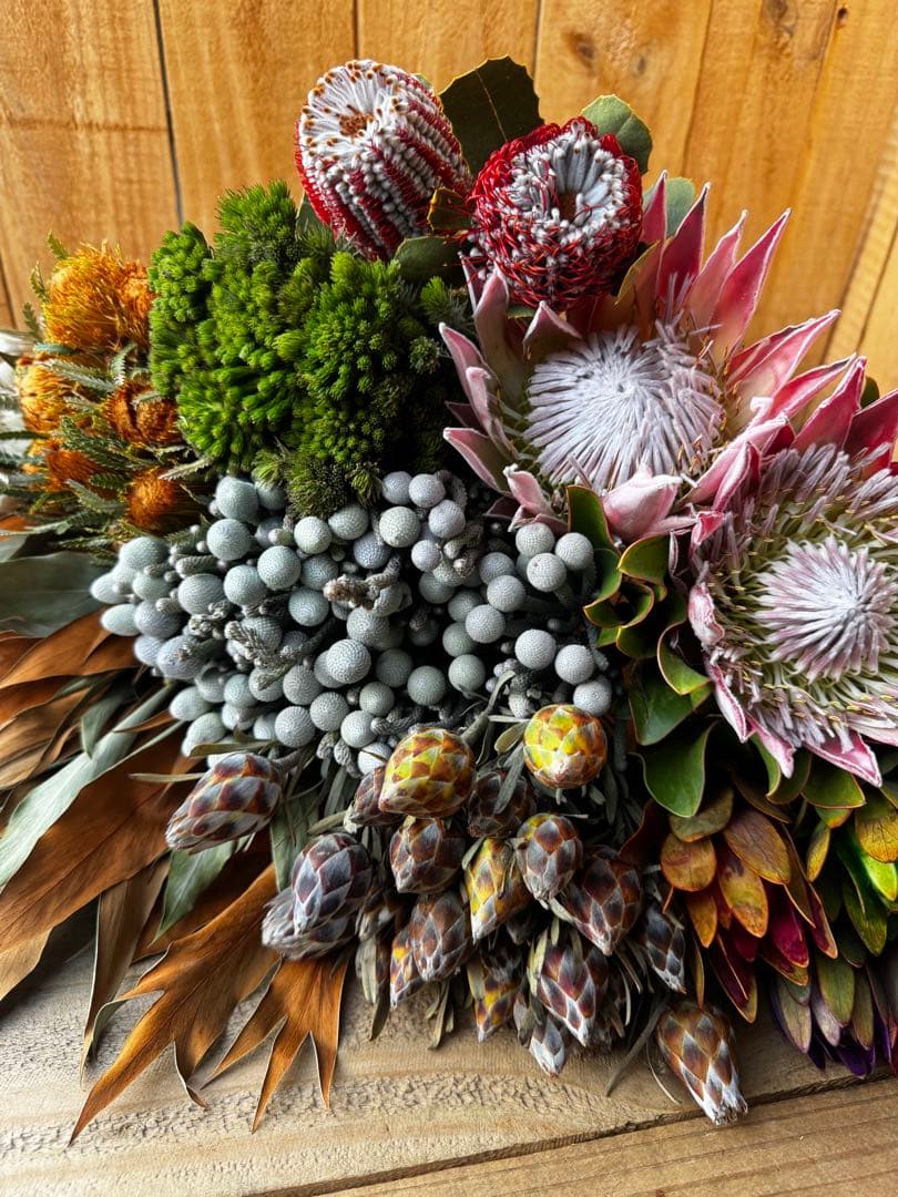 ✨9種MIX【Ｂ】ネイティブ　プロテア　グレビリア バンクシア　スワッグ　生花