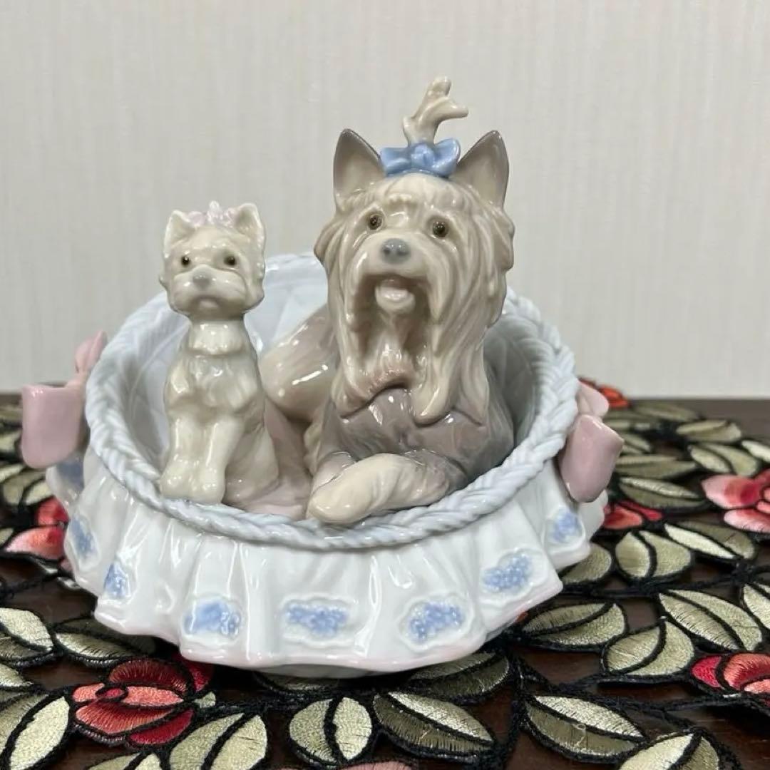 【ラブ自己紹介を見て下さいね♡】リヤドロ　犬「ここが好き」