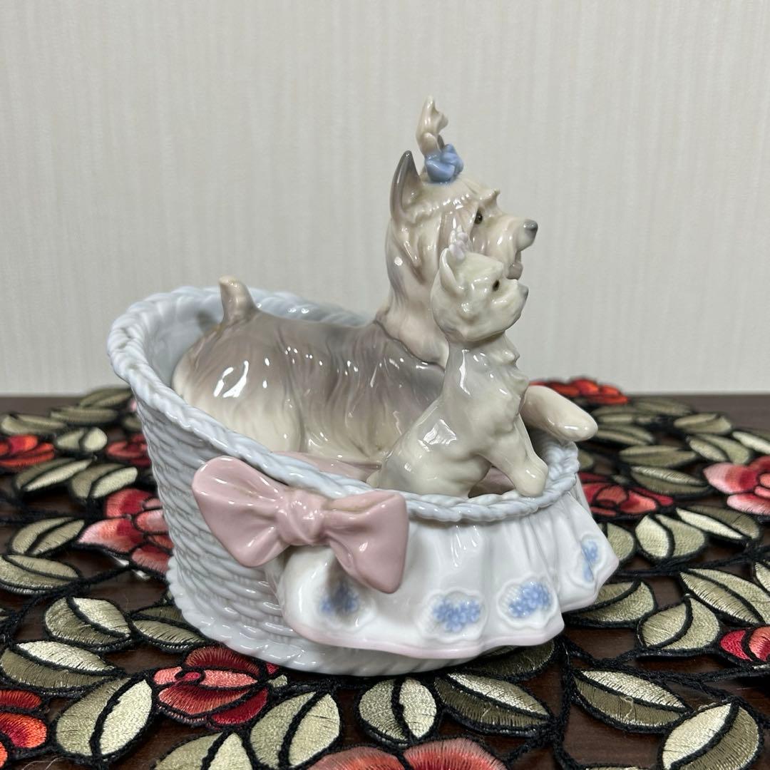 【ラブ自己紹介を見て下さいね♡】リヤドロ　犬「ここが好き」