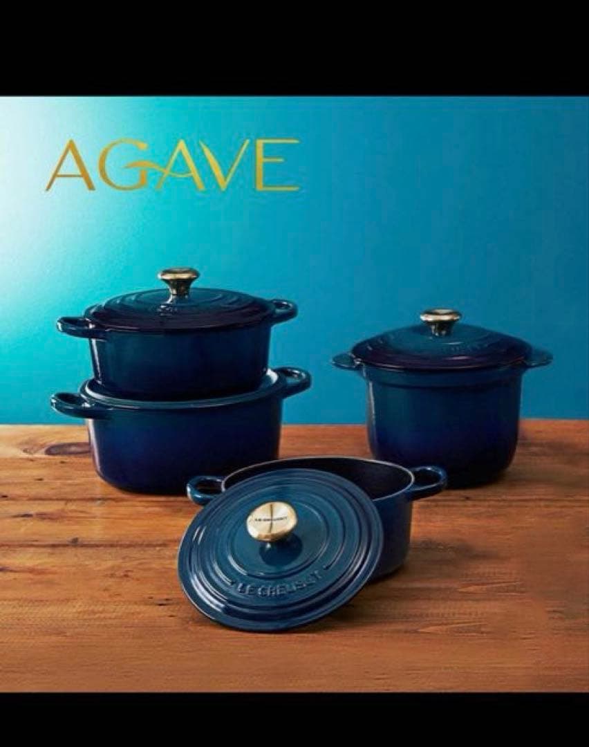ル・クルーゼ　LE CREUSET アガベ両手鍋 26cm