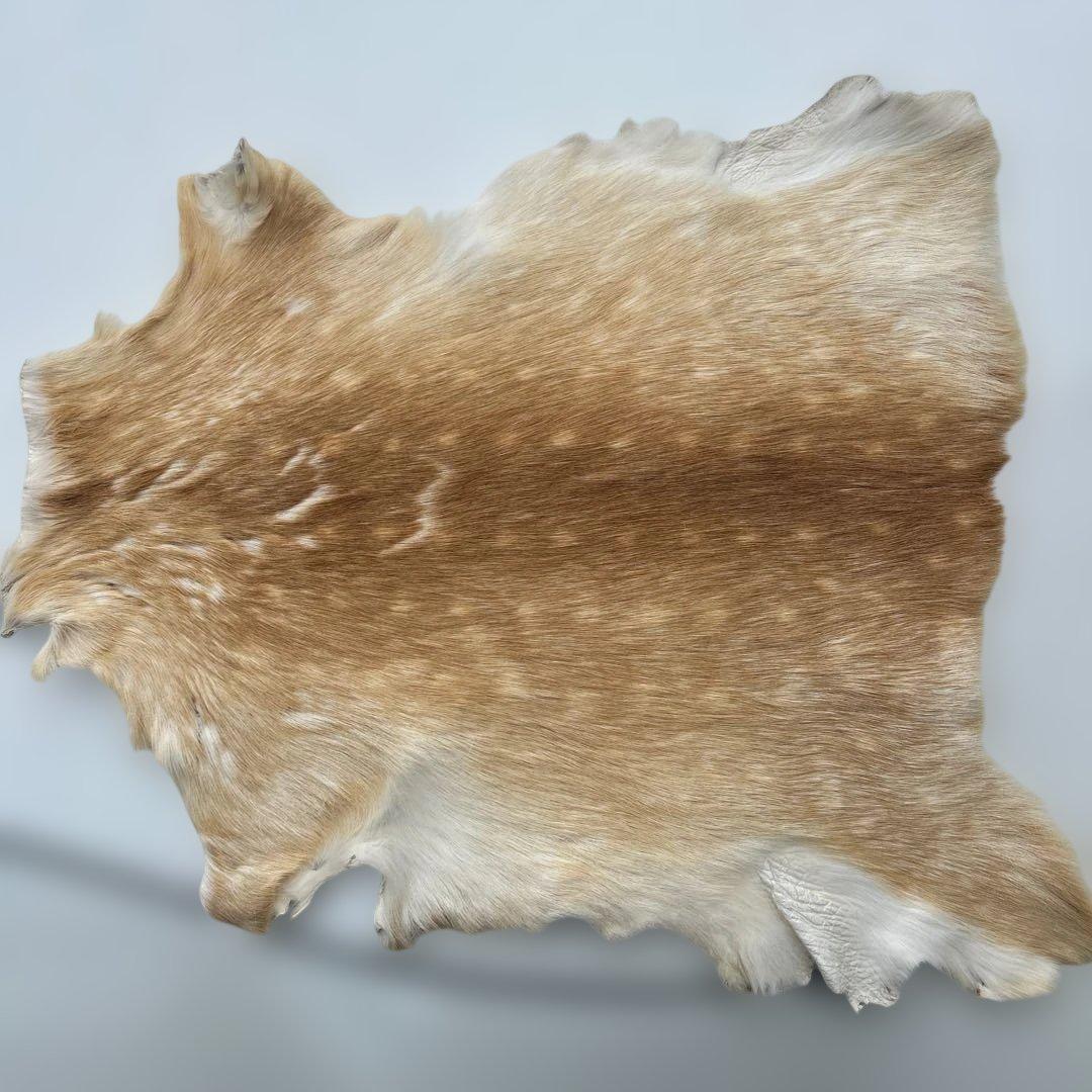 鹿の皮ベージュと白のグラデーション